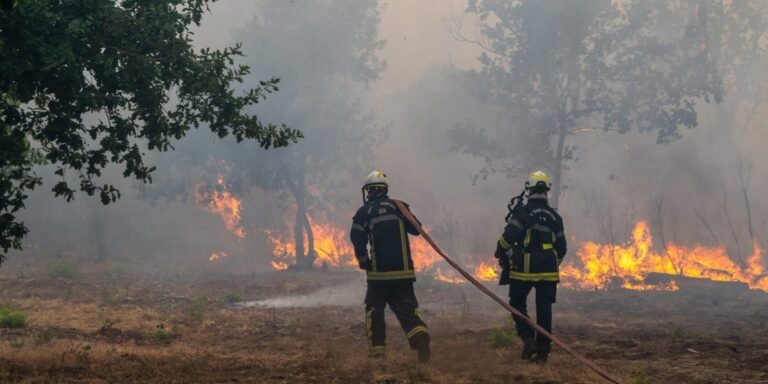 France deploys giant military cargo plane to dump flame retardants as wildfires displace 250,000
