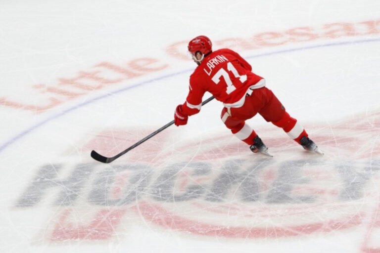 Now What for Dylan Larkin and the Detroit Red Wings?