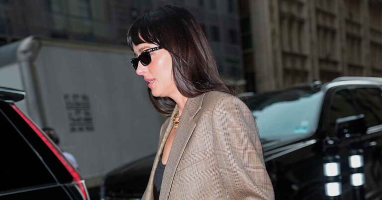We’re Copying Dakota Johnson’s Rich-Looking Plaid Blazer for $35